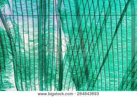 The Old Green Sun Protection Mesh And Lack. Can Not Prevent Sunlight.