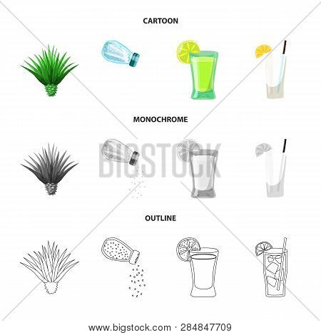 Vector Illustration Of Cafe And Latin Sign. Set Of Cafe And National Vector Icon For Stock.