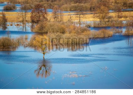 Flooded Trees During High Water At Spring Time, Snov River, Ukraine