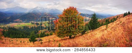 Autumn Colors Of Forests Over The Mountain Villages Of The Carpathians - Verkhovyna, Krivo Pole, Dze