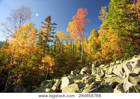 Autumn On The Rocky Mountains