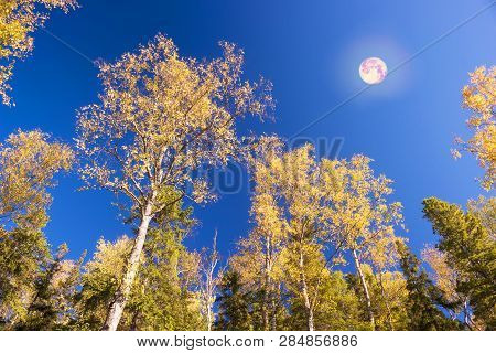 Autumn On The Rocky Mountains