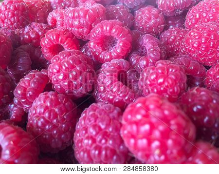 Fresh And Sweet Red Raspberries Texture Background. Raspberry Fruit Pile Background. Selection Of Fr