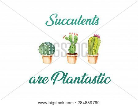 Succulents Are Plantastic Png Illustration Plants Watercolor