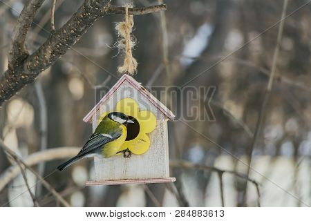 A Small Yellow Tit Sits On A Yellow Bird And Squirrel Feeder House From Plywood In The Park