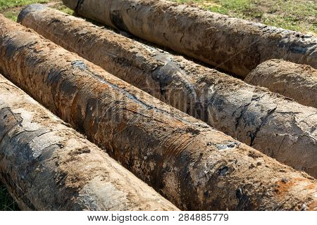 Fragments Of Old Large Water Pipes. After Many Years Of Operation, Corroded Metal Pipe Destroyed. Ru