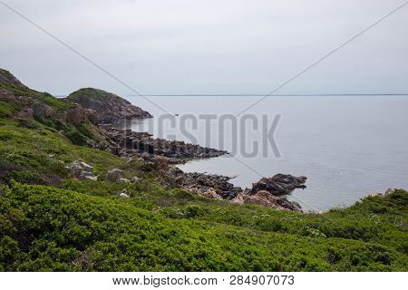 View Of The Kullaberg Cliff In Sweden