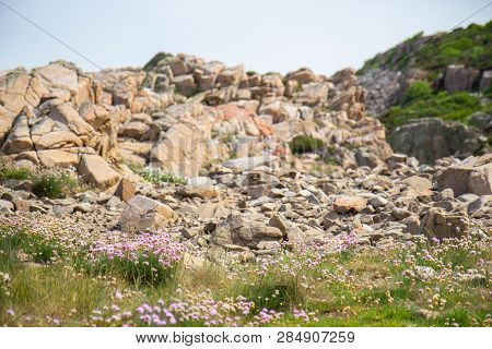 View Of The Kullaberg Cliff Near Town Molle In Sweden
