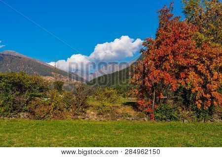 Autumn In Burgusio - Vinschgau, Italy In Europe