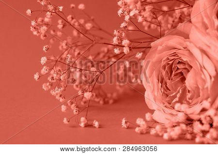 Delicate Wedding Arrangement With A Beautiful Peach Rose On A Coral Background. Coral Color Is The T