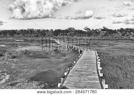 View From The Boardwalk To The Geelbek Bird Hide On The Langebaan Lagoon On The Atlantic Ocean Coast