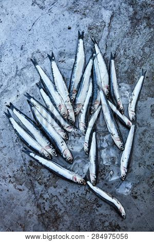 fresh whitebait on ice