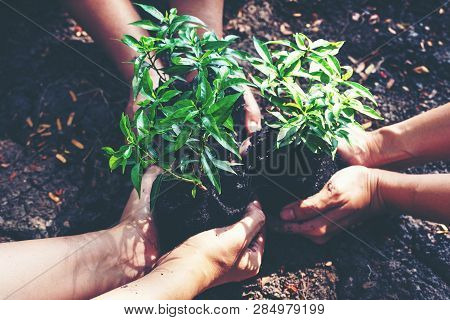 Hands Team Work And Family Holding Young Plants On The  Arid Soil And Cracked Ground Or Dead Soil  I