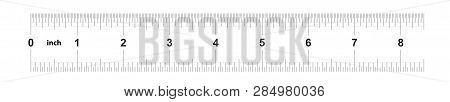 Ruler 8 inches imperial. Ruler 8 inches metric. Precise measuring tool. Calibration grid