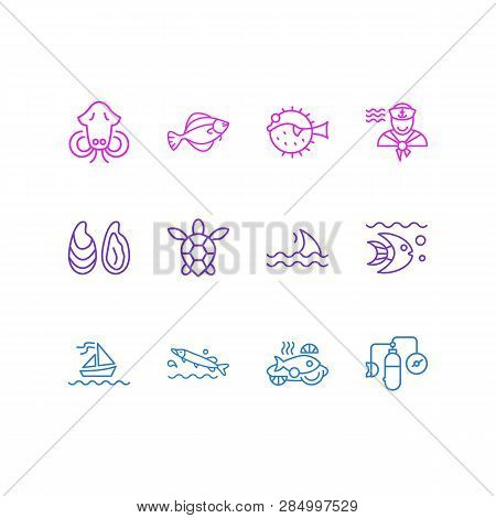 Vector Illustration Of 12 Marine Icons Line Style. Editable Set Of Sailor Man, Fin, Oyster And Other