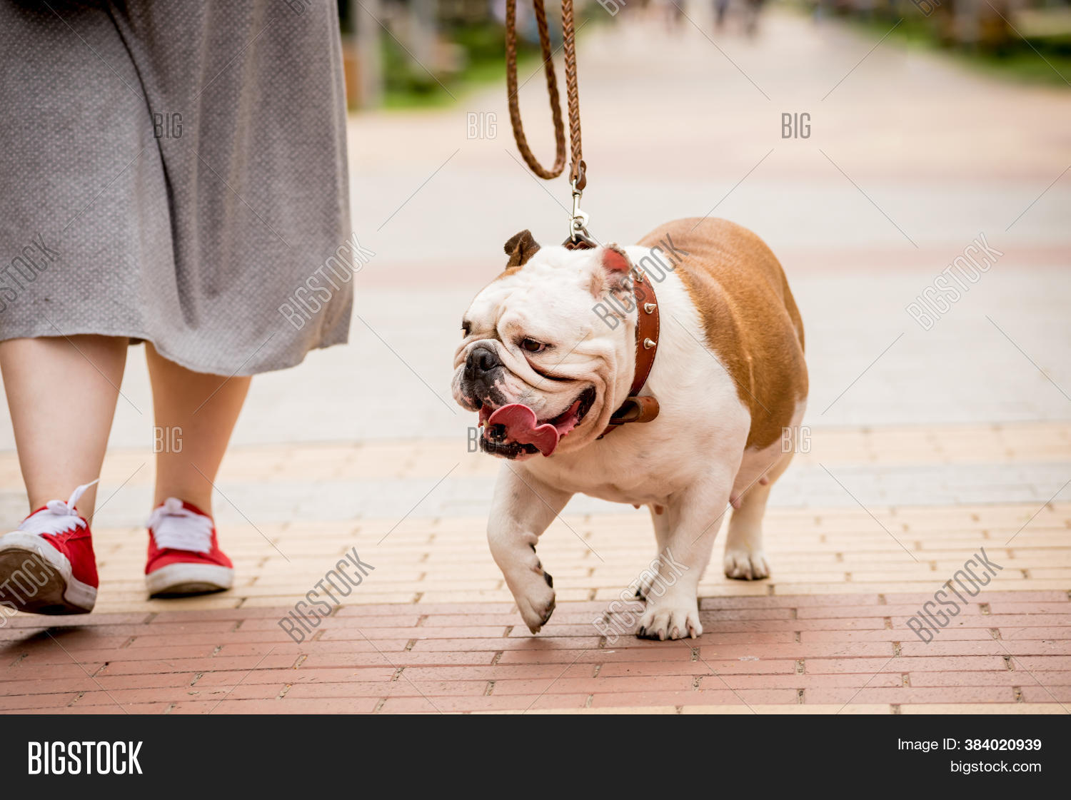 Owner Walking English Image & Photo (Free Trial) Bigstock