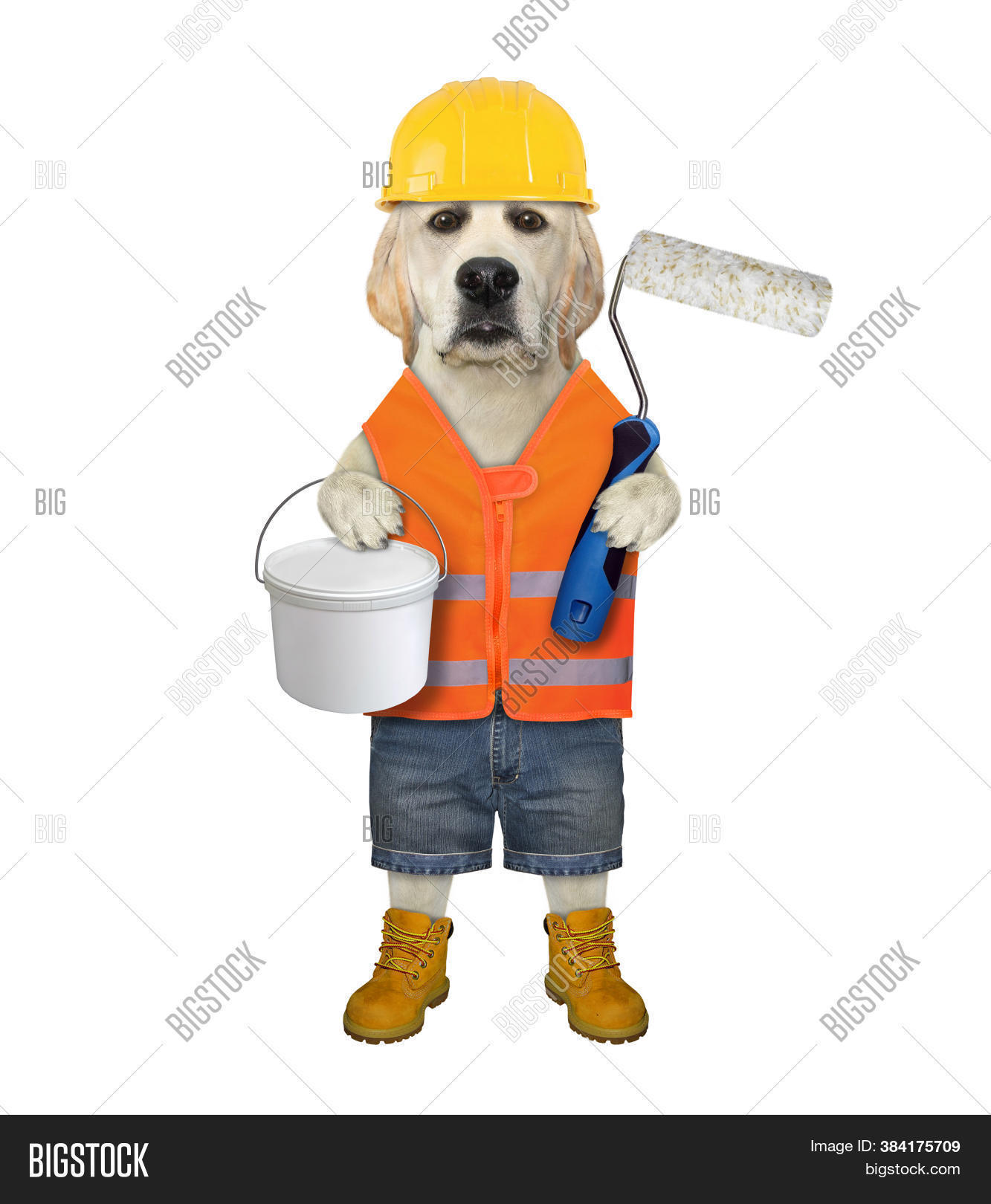 Dog Builder Working Image & Photo (Free Trial) Bigstock
