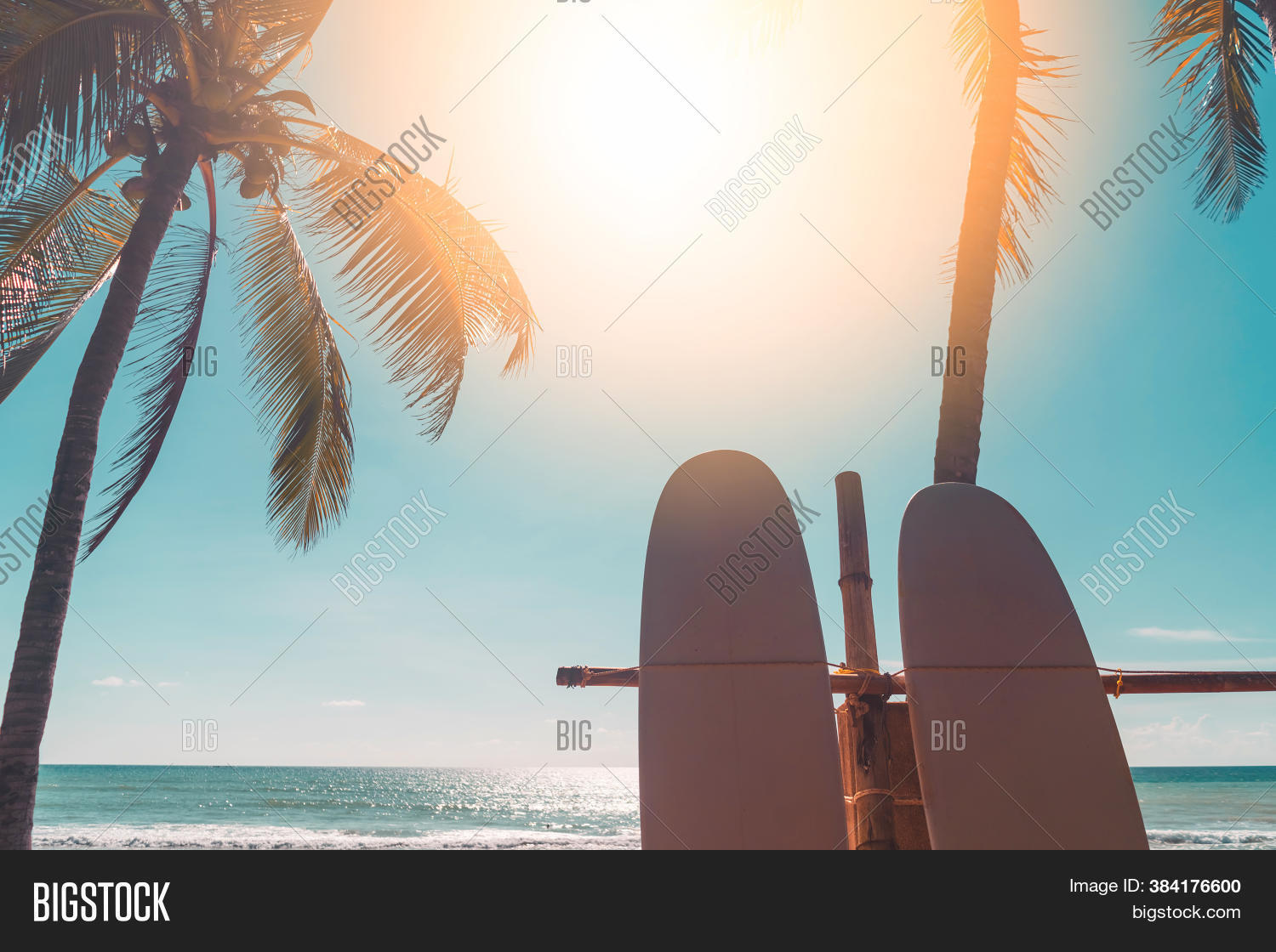 Surfboard Palm Tree On Image & Photo (Free Trial) | Bigstock