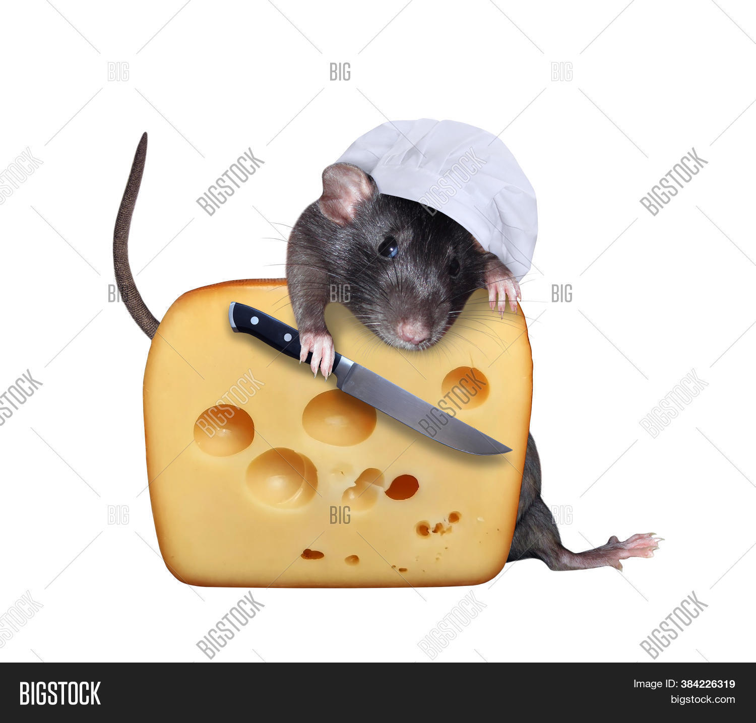 Рататуй 2007 реми. Блюдо рататуй в мультике рататуй. Крысбургер. Фурри повар. Rat cook.