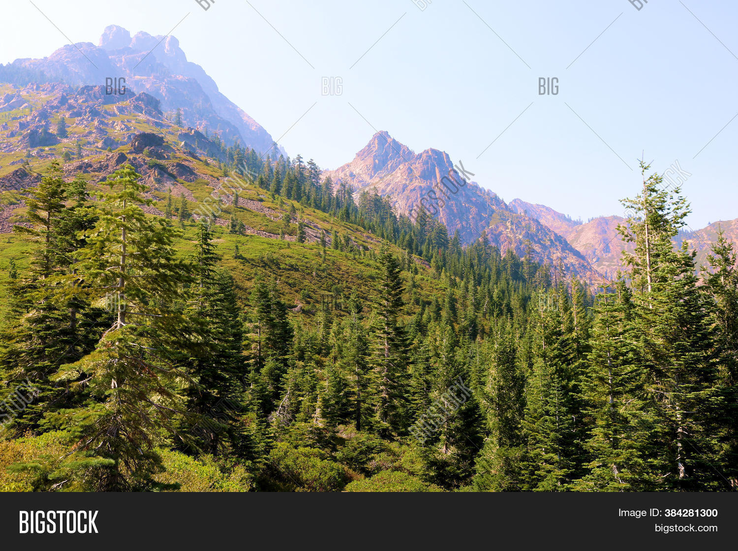Pine Forests Alpine Image & Photo (Free Trial) Bigstock