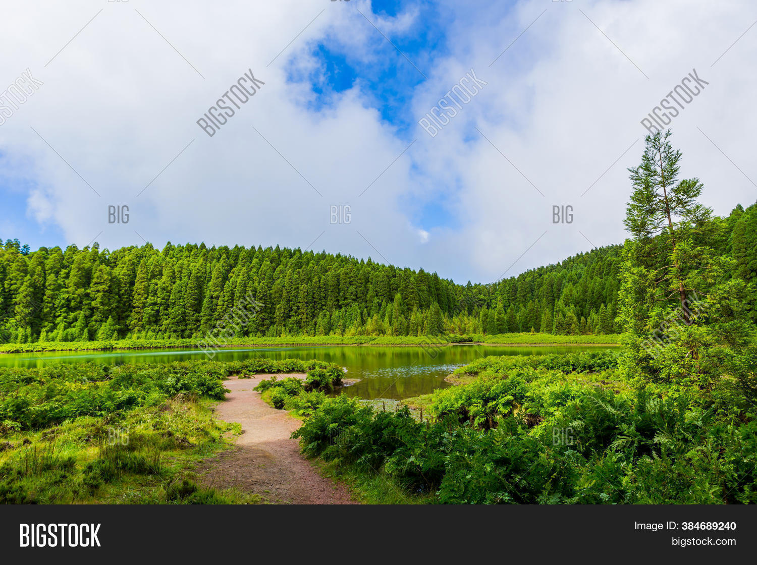 Lagoa Do Canario. View Image & Photo (Free Trial) Bigstock