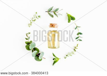Essential Oil And Round Wreath Frame Made Of Mix Of Herbs, Green Branches, Leaves Mint, Eucalyptus, 