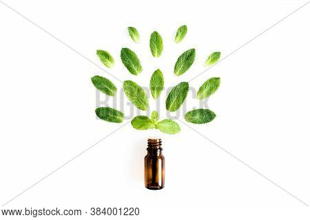 Essential Oil And Greenmint Leaves On White Background. Medicinal Herbs. Flat Lay. Top View.