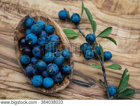 Blue Round Fruits Of The Blackthorn Bush