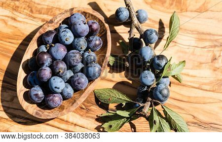 Blue Round Fruits Of The Blackthorn Bush