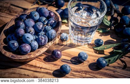 Blue Round Fruits Of The Blackthorn Bush