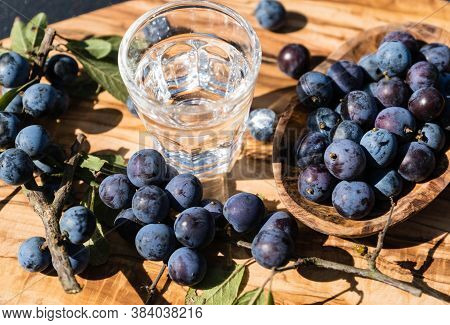 Blue Round Fruits Of The Blackthorn Bush