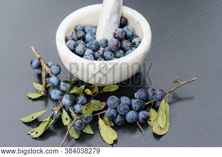 Blue Round Fruits Of The Blackthorn Bush