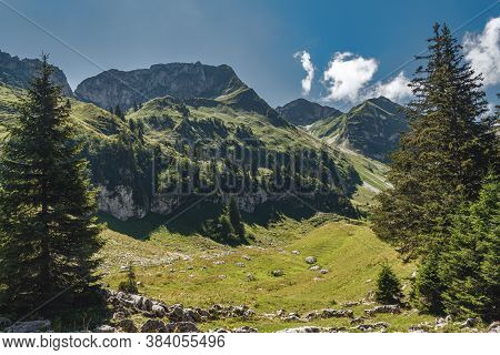 Mountain Scene In The Swiss Schwarzsee Region With Fir Trees And An Alpine Willow