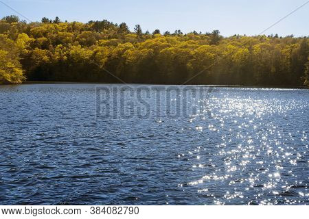 Sunlight Reflecting Off Of The Blue Waters With Yellow Autumn Foliage In The Background At Burr Pond