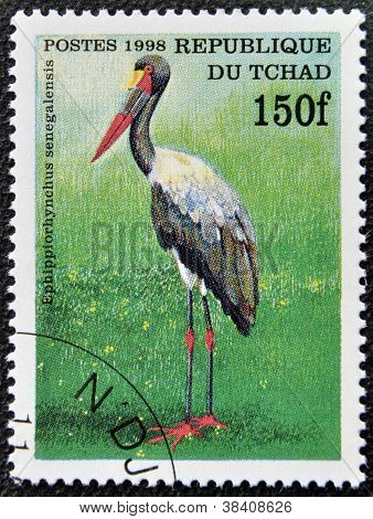 CHAD - CIRCA 1998: A stamp printed in Chad shows ephippiorhynchus senegalensis circa 1998