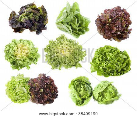 Salata çeşitleri