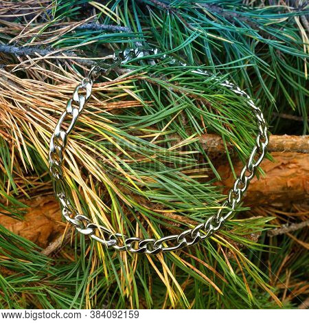 Women`s Wrist Bracelet Of Steel On Natural Green Background