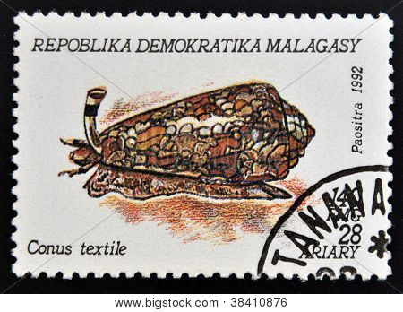 Madagaskar - CIRCA 1992: Een stempel gedrukt in Madagaskar toont conus textile circa 1992