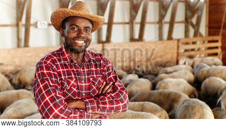 Portrait Of Young Handsome African American Man Farmer In Hat Looking At Camera, Crossing Hands And 