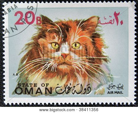 OMAN - CIRCA 1971 : timbre imprimé en état d'Oman montre chat Angora turc, vers 1971