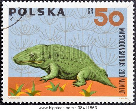 POLAND - CIRCA 1966: A stamp printed in Poland shows Mastodonsaurus from the series Dinosaurs Prehis