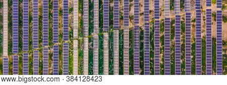 Aerial View Of The Solar Panel In Solar Farm For Green Energy Banner, Long Format