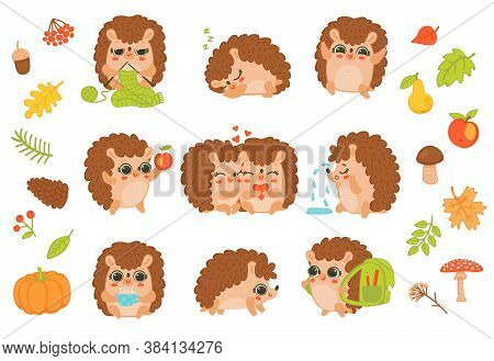Set Of Characters Hedgehogs In Autumn Season A Cartoon Isolated Vector Illustrations