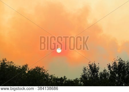 Smoke From A Nearby Wildfire Surrounded Forests Taken In The Drought Stricken California Landscape