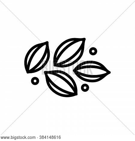 Black Line Icon For Celery Lettuce Pascal-celery Paschal Seed Condiment Spice Flavor Ingredient