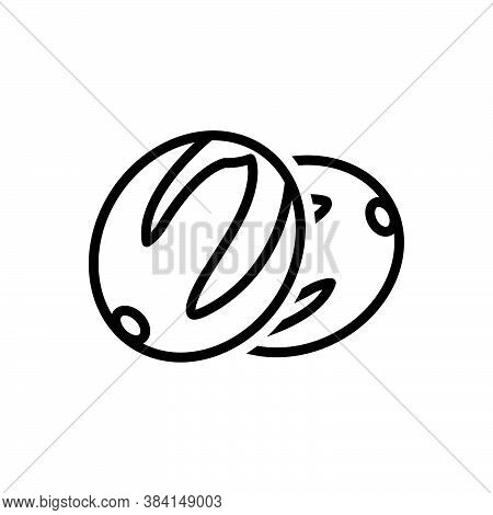 Black Line Icon For Mace Seed Myristica-fragrans Myristica Condiment Spice Flavor Ingredient