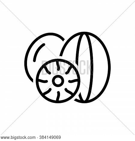 Black Line Icon For Nutmeg Seed Myristica-fragrans Myristica Condiment Spice Flavor Ingredient