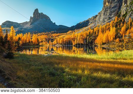 Majestic Autumn Scenery With Colorful Redwood Forest And Famous Lake Federa In The Dolomites, Italy,