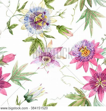 Beautiful Vector Seamless Floral Pattern With Watercolor Summer Passionflower Flowers. Stock Illustr