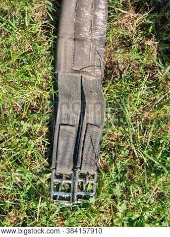 Changing The Horse English Saddle. Open Saddle Girth. Children Riding School